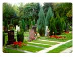 Cintorín Bratislava - Ružinov, foto 4
